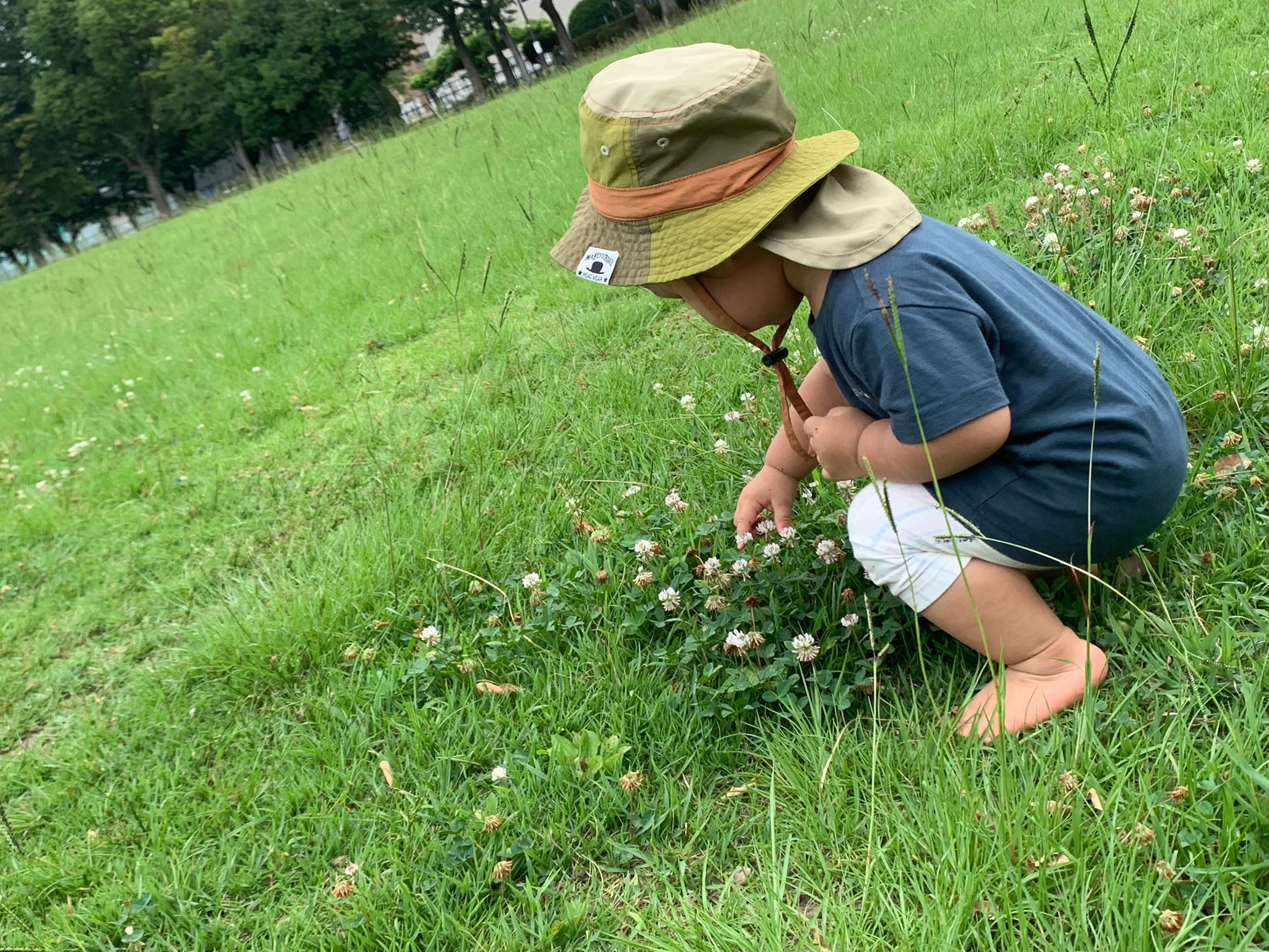 入園案内